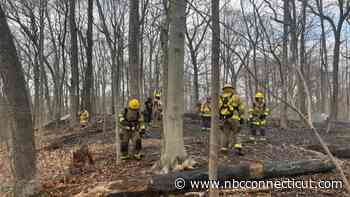 Firefighters extinguish brush fire that nearly encroached on homes in North Haven