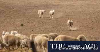 These Victorian towns have water restrictions. Remember them?