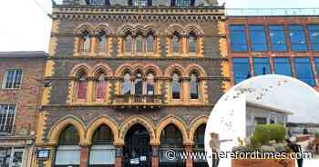 How new museum will spend £1m grant