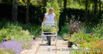 The best garden centres to explore this spring in south east London