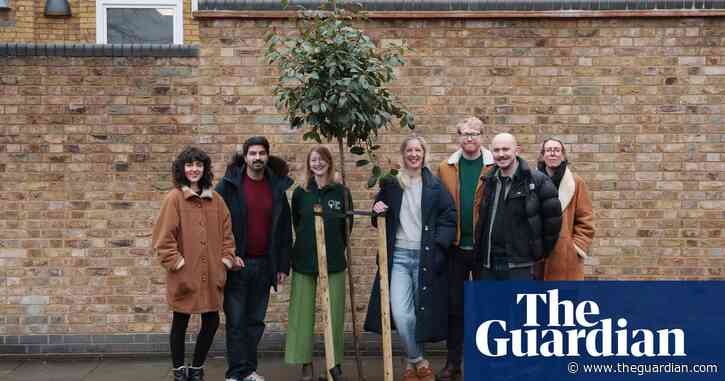 ‘It will be beautiful to see our kids grow up with this’: how communities around the world are planting trees