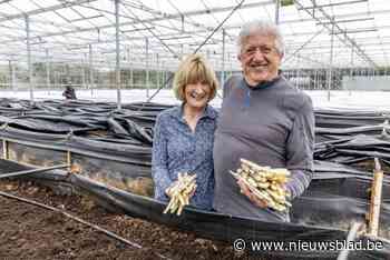 Op bezoek bij aspergetelers Frieda en Jos:  “Dit is voor ons de allerlekkerste manier om ze klaar te maken”
