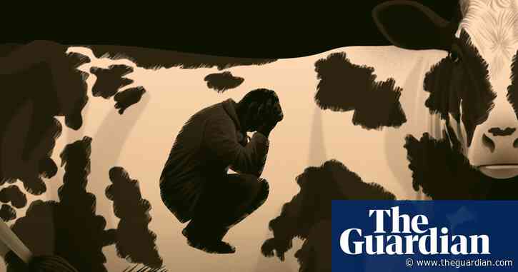 Shocking animal cruelty claims as vets blow whistle on export abattoirs