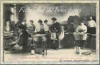 Le bouchon en chêne-liège varois, de l’artisanat à l’industrie