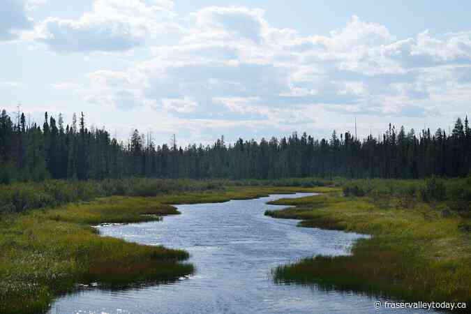 Canada has the critical minerals Donald Trump wants. So what should we do with them?