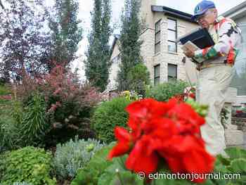 Saturday's letters: Cutting Front Yards in Bloom a mistake