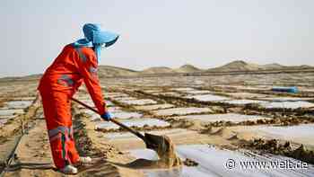 „Das Vorgehen der US-Regierung erinnert an die Taliban“