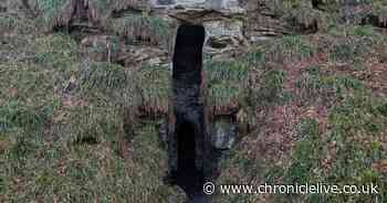 The Northumberland woodland walk to 'fantasy novel' cave adapted for bathers in the 18th century