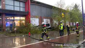 Tödlicher Unfall in Bahrenfeld – Polizei nimmt 24-Jährigen fest