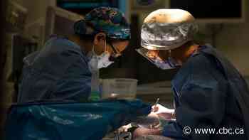 From salt in food to transfer payments: Here's what Ottawa has power over when it comes to your health