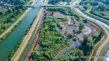 Nieuwe krabbenfuik op Bollaak om opmars Chinese wolhandkrab te stuiten