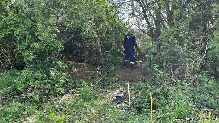 Dassen mogelijk vergiftigd, witte substantie gevonden bij burchten