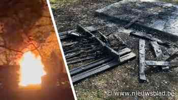 Jonge vandalen slaan opnieuw toe in Bilzen: “We gaan het toezicht aanscherpen”