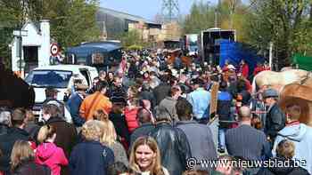 Stad trekt jaarlijkse toelage voor Posse Leest op naar 10.000 euro