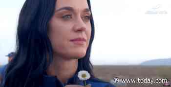 Can Katy Perry call herself an astronaut? No, says the secretary of transportation, and here's why