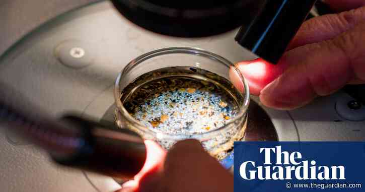 Microplastics found in human ovary follicular fluid for the first time