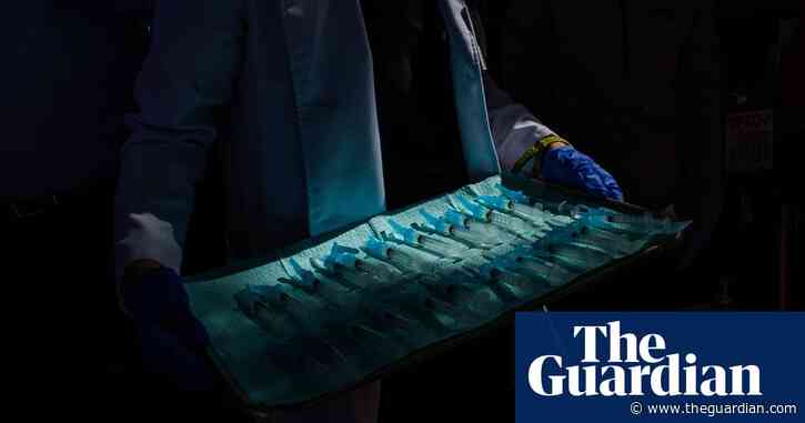 Trump White House replaces Covid website with treatise on ‘lab leak’ theory