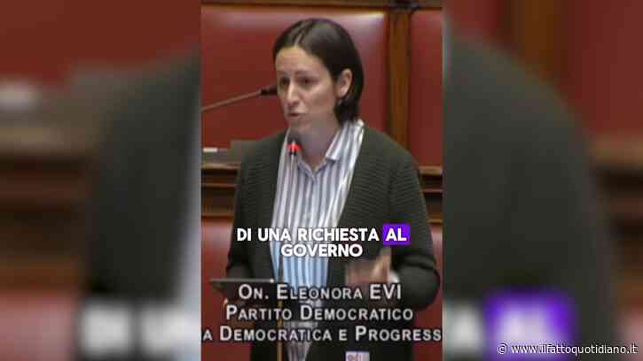 “Stop alla barbarie degli animali nei circhi, il governo firmi i decreti”: l’appello di Evi (Pd) in Aula