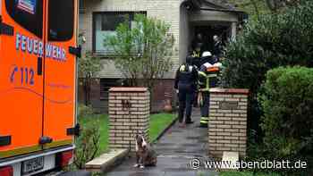 Mit Fäusten ins Gesicht: Sohn schlägt Mutter krankenhausreif