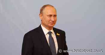 Vladimir Putin announces ceasefire in Ukraine