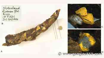 Researchers Find Microplastics in Caddisfly Casings From 1970s, Hints at Long-Term Contamination Risk