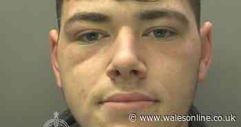 Judge tells teen criminal he is 'spending best years of his life' behind bars