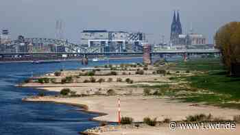 Rheinpegel: Wasserstände in NRW nach Regen etwas höher
