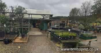 Bristol's best garden centre named as South Bristol location with beloved café