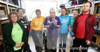 Inside the hedgehog 'hogspital' which continues to see increase in avoidable injuries