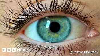 Scientists claim to have discovered 'new colour' no one has seen before