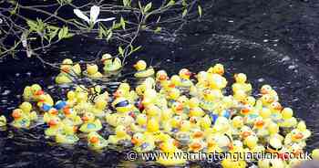 Lymm Duck Race is back this Easter, here's the details and how to take part