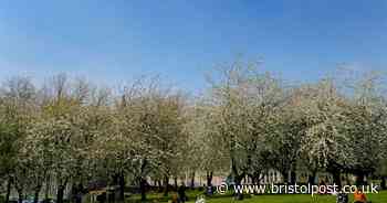 Easter Sunday weather will see sunshine and high temperatures return to West Country
