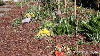 Bodenpflege im Garten: Der Mulch macht's: Was das ist und was er bringt