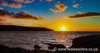 Forget Cornwall - this unspoiled part of Wales has secluded bays, seafood and dolphin-filled waters