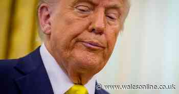 Donald Trump branded 'dumbest president ever' after six-word confession