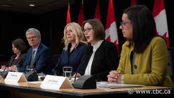 As foreign actors work to influence Canada's election, how safe is your vote?