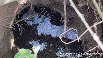 Gif gevonden bij dassenburchten Brabant, 'alle ingangen waren volgestopt'