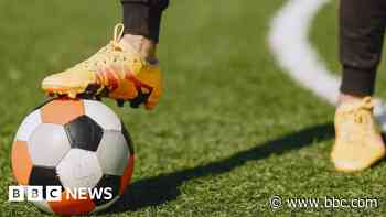 Plans for new football pitches approved