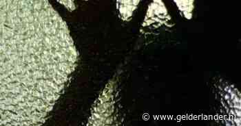 Man wacht vrouw op bij toiletten in bekend café, duwt haar hokje in en verkracht haar