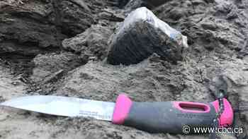 Ancient tooth found near Old Crow, Yukon, belongs to earliest woolly mammoth in North America