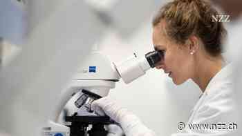 Schweizer Pharmafirmen erhalten Post vom US-Handelsminister. Sie sollen aufzeigen, wie sie mehr in den USA produzieren können