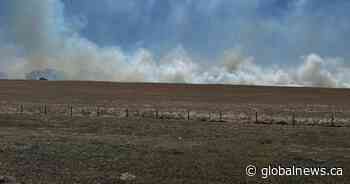 Grass fire east of Edmonton closes section of city’s ring road