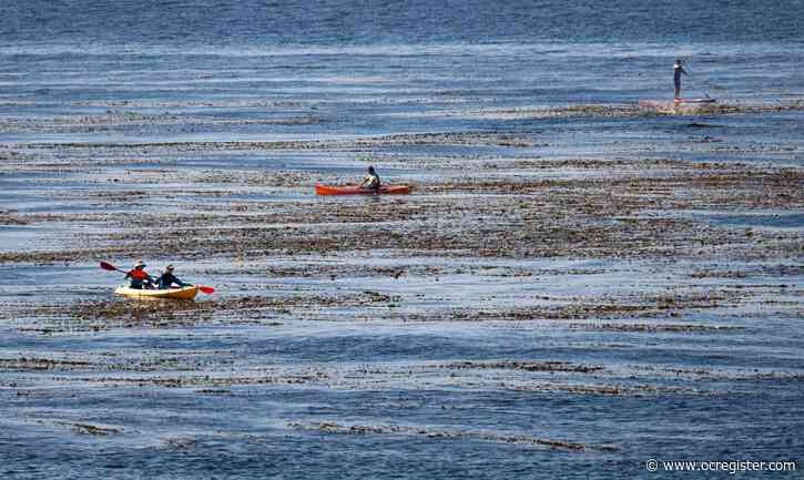 Earth Day celebrations get an early start, with more events planned through the week