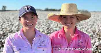 Moree cotton growers celebrate the first season in years with no drift damage