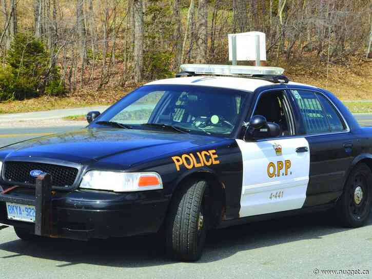 OPP fighting back against online child sexual abuse