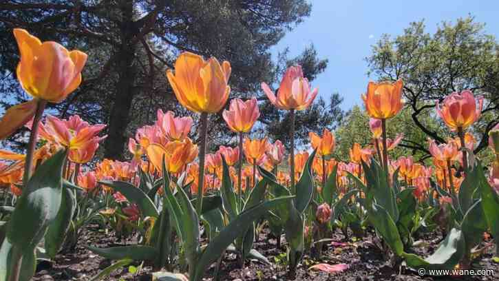 2025 growing season officially declared