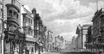 Bird and beast stuffer and grindery dealer - trades you would not believe existed!