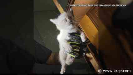 Fire rescue kitten from inside Sunland Park house wall