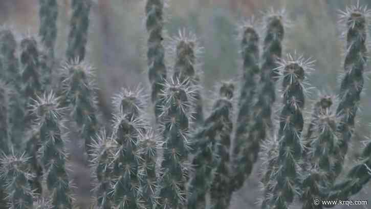 Latest investments in New Mexico's outdoor recreation