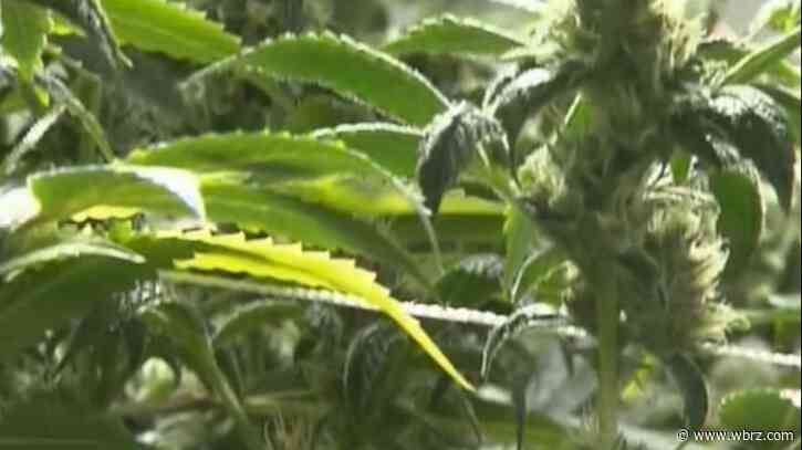 'Let's regulate it': State lawmaker wants to create marijuana pilot program